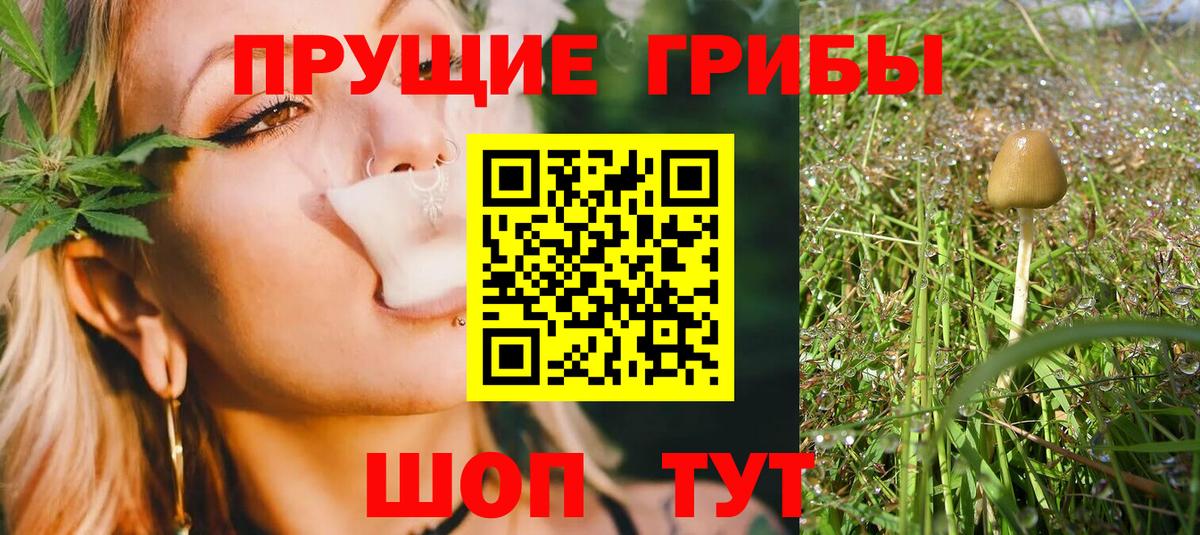 МЕФ   Вход с VPN  Пенза  Канабис  MDMA  Наркошоп  Мефедрон  ГАШ 
