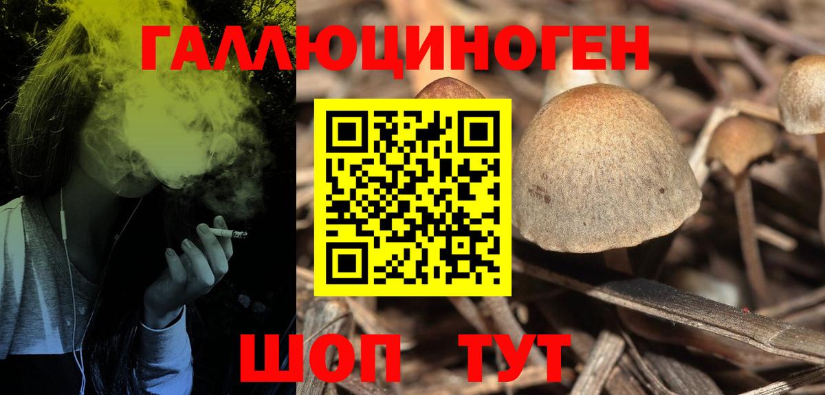 Пенза  Псилоцибиновые грибы MAGIC MUSHROOMS  Вход с VPN 